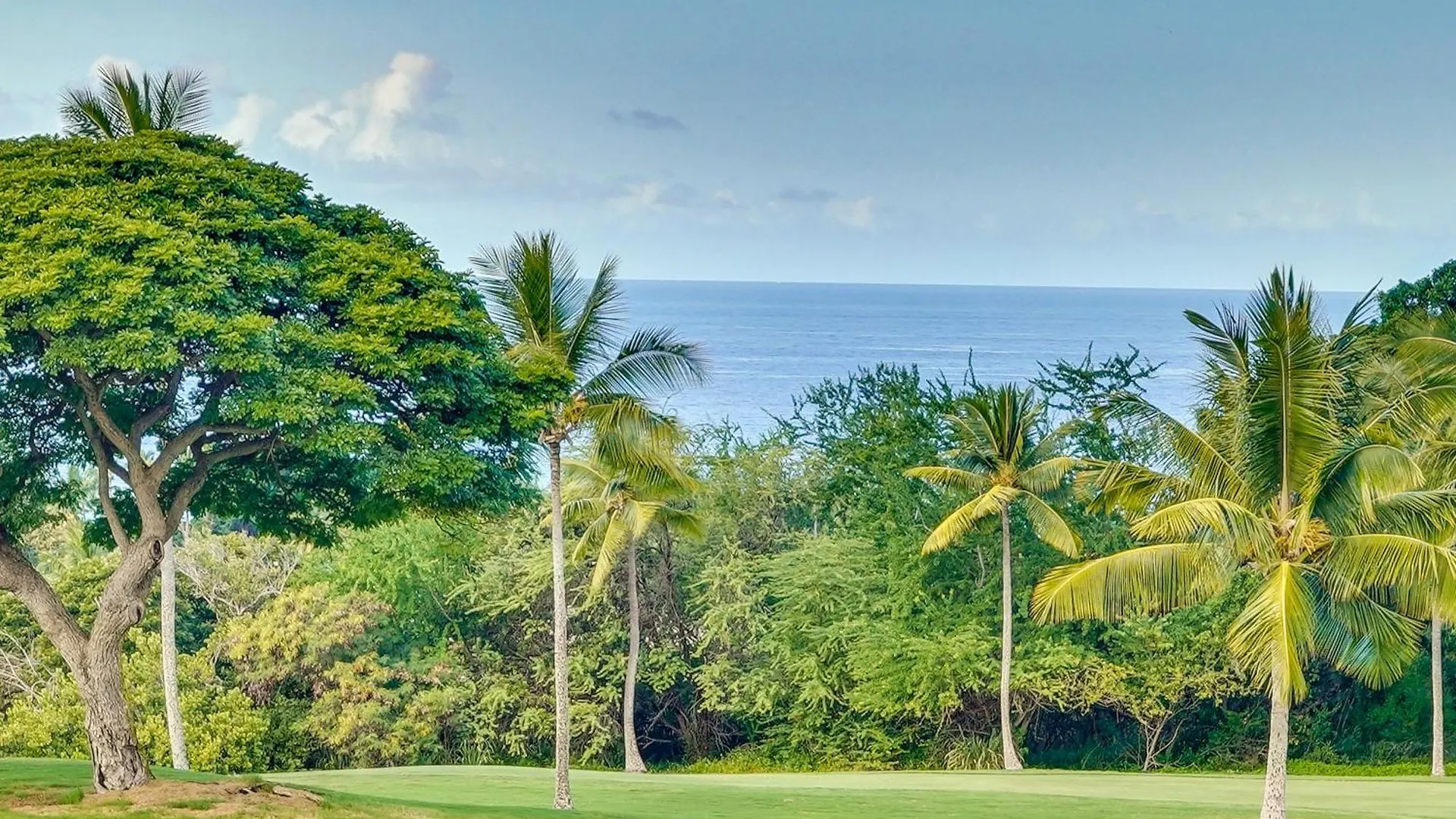 Living Aloha A Quiet Condo With Step-Free Access! Kailua-Kona